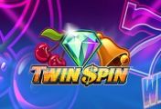 Twin-Spin1_ktp1lq